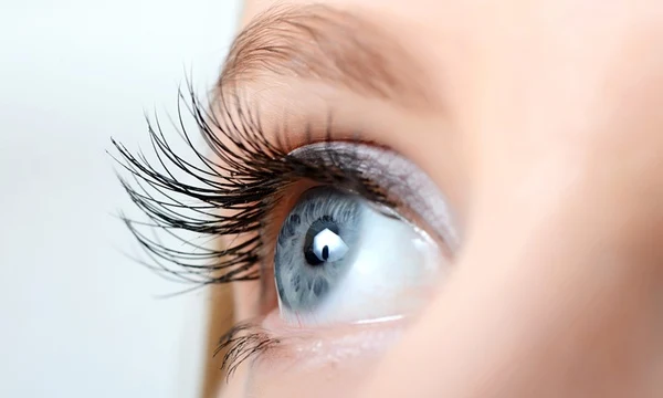 Holistic Tips for Protecting Your Lashes