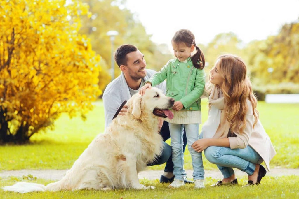 family support during pet loss